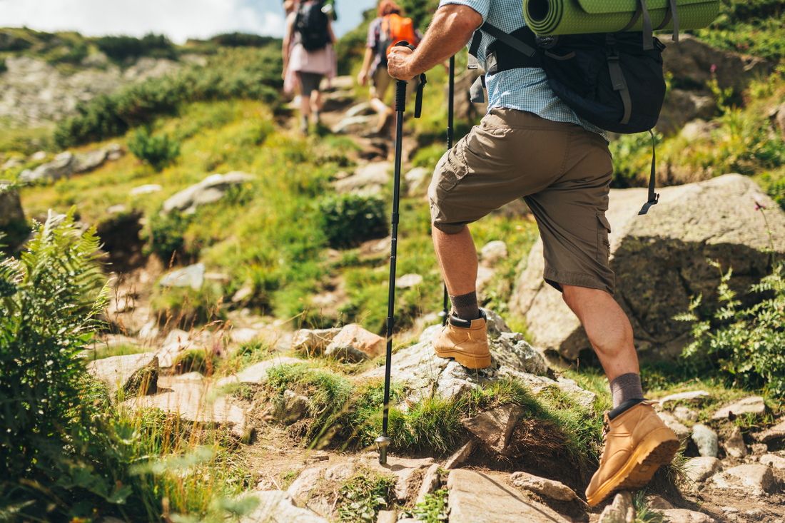 Hiking Tips for Beginners: Embrace the Trail with Confidence