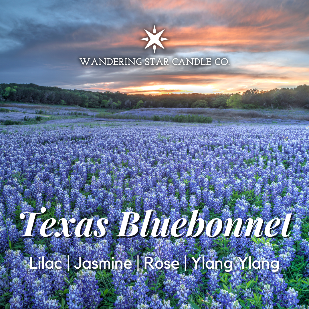 Texas Bluebonnet | Lilac, Jasmine, Rose & Ylang Ylang Soy Candle